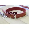 Couro de alta qualidade para cães 13 ~ 50kg cão animal de estimação colarinho colarinho moda projetado cão trela corda corda tração pet harness chicote de leash