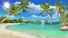 Custom any beach wallpapers coconut tree TV background wall beautiful scenery wallpapers