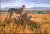 Home Art Decor Animal Leopard Oil Painting Picture Printed On Canvas For The Sitting Room Adornment Art a77