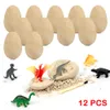 Dinosaurio huevo Fosil Davp Up Science Discovery Dinosaurios F￳siles Skeletons Kids Arqueolog￭a Aprendizaje de juguetes Juguetes Educativos Regalos STEM