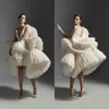 2020 Krikor Jabotian Wedding Dresses Short Deep V Neck Tulle Ruffles Tiered Skirts High Low Wedding Dress Custom Feather Abiti Da Sposa