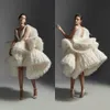 Krikor Jabotiaanse trouwjurken Korte Deep V Neck Tule Ruches Tiered Skirts High Low Wedding Dress Custom Feather Abiti Da Sposa