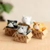 1 stuk cartoon schattige kat in de doos zielige kitty kitten fee tuin mos micro landschap ornamenten hars ambachten decoraties