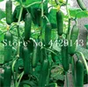 400pcs 씨앗 오이 식물 식물 열린 토양 재배 식물을위한 초기 일본 품종 야채 가정 정원 분재 식물 FL324U