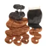 Brasilianisches Ombre-Haar, gewellt, glatt, Remy-Haar, 1B/27, 1B/30, 1B/99J, 1B/Rot, 1B/613, 1B/Grau, doppelte Tressen
