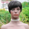 Straight Short Wigs Brazilian Virgin Hair Human Hair Wigs Free Part Brazilian Hair Wig Ombre Wig Kinky Curly Afro Wigs Natural