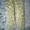 Brazilian Hair Weave Bundles afro kinky curly 100% Human Hair 2 Bundles blonde curly virgin hair Extensions