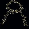 Wedding Headpieces Accessories Crystal Pearl Belt Bridal Ornaments Jewelry bride Headbands