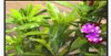 تخصيص 3D الجداريات الحرير صور خلفيات HD جميلة حالمة البحرية شجرة جوز الهند الشاطئ منظر طبيعي يدهن الجدار خلفية TV