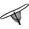 G3679 mens sexy Mini pouch thong see through C-thru tulle sexy male underwear