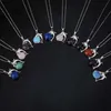 12 bijoux dauphin en alliage aléatoire pendentif en pierre hommes et femmes signifiant collier en acier inoxydable ensemble cadeau d'anniversaire