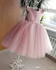 Blush Pink Ball Gown Flower Girls Dresses For Weddings Lace Appliqued Kids Formal Wear Tulle Communion Dress Wedding Guest