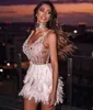 Amazing Transparent Short Cocktail Dresses V Neck Sequined Luxury Feathers Lady Party Dress Beads Sexy Special Occasion Gowns