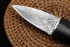 Högkvalitativ Mini Small EDC Pocket Fixed Blade Kniv Damascus Steel Blades Wood Handle Present Knvies med Woods Sheath Gift Knifes