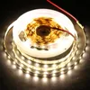 New Arrival 4040 SMD LED Strip Light 120LED/M 60LED/M Flexible Light Ribbon Double PCB Led Strip Tape110V 220V Tape