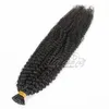 VMAE Indian Malaysian 1G Strand 100g Natural Color Afro Kinky Curly Pre Bonded Keratin Stick I Tips Raw Human Human Hårförlängningar