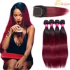 burgundy two tone hair