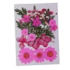 Dekoracyjne kwiaty Wieńce 4 zestawy wielokrotnego miksu Naturalne prasowane suszone liście DIY Art Craft Assorted Rozmiary1