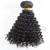 VMAe Kambodjanska Vietnamesiska Naturfärg Kinky Curly Human Hair Extensions EMA Produkter 100% Obehandlat Virgin Human Hair Weaves 1 Bundle