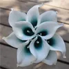 Oasis Teal Düğün Çiçekleri Teal Mavi Calla Lilies 10 STEM GERÇEK TOPAK CALLA Lily Buket Düğün Centerpieces Düzenleme Dekorat1662956