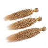 Kinky Curly # 27 Honey Blonde Menselijk Haar Weave Bundels Aardbei Blonde Maleisische Krullend Menselijk Haar 3 Bundels Lichtbruin Virgin Haar Werksen