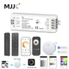 12V 24V LED Controller CCT 2CH RF Wireless Remote 2.4G 10A 24V DC 12V Smart WiFi Dimmer för dubbelvit Enkelfärg LED Strip Light