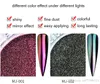 Tamax Chrome Mirror Powder Nail Art Glitter Chameleon Pigment Powder Manicure Nail Tips Decoration Accessories Gel Polish Dust