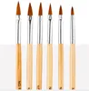 6Pcs set Acrylic Brushes Nylon Hair Nail art Brush Detachable Handle Kolinsky Brushs Pen Gel Builder Carving Dotting Drawing Tools3120038