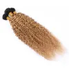 Açık Kahverengi Ombre Perulu Kıvırcık İnsan Saç Uzantıları # 1B 27 Koyu Kök Bakire saç örgüleri Kinky Kıvırcık Bal Sarışın Ombre 3 Bundle Fiyatları
