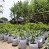 不織布再利用可能な柔らかい編まれた柔らかいシドラシの高く通気性の高い鉢植えの袋植木鉢大きい花のプランター10サイズ