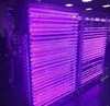 T5 LED UV 395-400nm Tüp Entegre Siyah Işıklar Lamba Ultraviyole Dezenfeksiyon Mikrop Ultraviyole Işınlar Sterilizatör Tutkal Işık Sıfırın altında