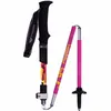 carbon walking poles