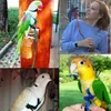 Das AVIATOR-Vogelgeschirr und die Leinen von The Parrot University, verstellbares Papageien-Vogelgeschirr, Leine, AntiBite-Trainingsseil, Outdoo7276428