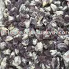 500g 20-30mm Slumpmässig storlek Äkta rå elastiska ametistkristallstenar Special Natural Raw Grov Amethyst Druzy Quartz Gemstone Geode