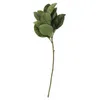 5pcslot artificiel magnolia leaf exportation fausse fleur fleur fleur intérieure de plante verte simulation fleurs décor intérieur feuilles décoratives h165498271