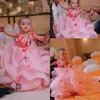 Güzel Pembe Tül Toddler Çiçek Kız Elbise A Hattı Kelebek 3D Çiçek Aplike Katmanlı Ruffles Kızlar Pageant elbise Doğum Günü Partisi Elbise