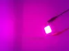 5PCS 50W LED COB CHIP Plant grow lights High power lamps Pink1500-1750mA 22-26V red 32mil / blue35mil EPILEDS Chip Free shipping