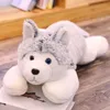 Mignon nouveau dessin animé husky en peluche géant en peluche chien poupée oreiller pour enfants cadeau décoration 43 pouces 110 cm DY50698