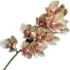 Фальшивая настоящая сенсорная орхидея Cymbidium 10 головы моделирование 3D -печать хорошего качества латексная орхидея цветок для декоративного искусственного потока 9750055