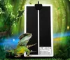 2019 nouveau tapis chauffant populaire fournitures pour reptiles 15x28cm 7W couveuse de reptiles incubateur coussin chauffant pour animaux de compagnie brassage 110v prise américaine