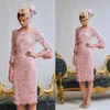 Light Pink Mother Of The Bride Dresses Scoop Neck Evening Dress Long Sleeve Applique Hand Made Flowers Wedding Guest Dress Mothers Dresses