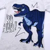 Cotton Dinosaur Baby Boys Long Sleeve T Shirts New Spring Children Shirts Girls Tops Kids Clothes Children Clothing