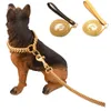 Cognello oro inossidabile in acciaio in acciaio gold oro in pelle manico in pelle cinghia di corda del guinzaglio portatile cucciolo di allenamento per gatti per gatto collare collare girare18344571