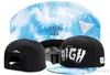 Cayler Oğullar Snapback Beyzbol Kapakları Kafes Yasallaştırın Smokin 'Ağaçlar Sky Sky High Eazy Rocky Saints Rudeboy Snapback H236F