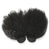 VMAE 페루 레미 버진 헤어 아프리카 킨키 곱슬 씨 웨이프 자연 색상 소프트 3 번들 4C 곱슬 미처리 된 인간의 머리카락 짜기