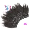 VMAE Naturel Noir Afro Crépus Bouclés 4A 4B 4C100% cuticule brésilienne non transformée alignée Clip humain vierge dans l'extension de tissage de cheveux