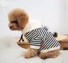 Primavera nuovo maglione di spugna per cani Teddy vestiti di moda di strada per cani di piccola taglia per adulti per il tempo libero genitore-figlio indossano cappotti Capispalla