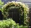 Nueva pérgola de hierro para jardín, soporte de flores, arco de Metal, marco de escalada verde, estante de lufa, estante de ratán de uva