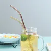 304 Stainless Steel Straws 21.5cm Reusable Straight Bent Drinking Straw Colorful Metal Straws Cleaner Brush Silicone Tips Party Bar Supplies
