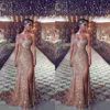 Gül Altın Gelinlik Modelleri 2019 Zarif Kılıf Afrika Arapça Akşam Parti Abiye Bir Omuz Ünlü Elbiseleri Kadın Fermuar Geri Uzun Ucuz